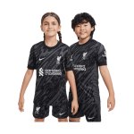 Nike FC Liverpool Torwarttrikot kurzarm 2024/2025 Kids Schwarz F061