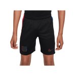 Nike FC Barcelona Short Away 2024/2025 Kids Schwarz F010