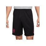 Nike FC Chelsea Short 3rd 2024/2025 Schwarz F010