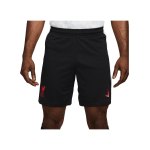 Nike FC Liverpool Short Home 2024/2025 Rot F687