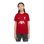 Nike FC Liverpool Academy Trainingshirt Kids Rot F688