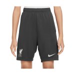 Nike FC Liverpool Academy Short Kids Grau F060