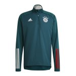 adidas FC Bayern München Sweatshirt Grün Rot