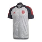adidas FC Bayern München UCL Trainingsshirt Grau