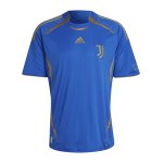 adidas Juventus Turin Loose Trainingsshirt Blau