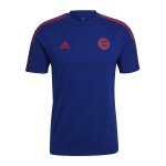 adidas FC Bayern München T-Shirt Blau Rot