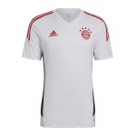 adidas FC Bayern München Trainingsshirt Weiss