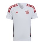 adidas FC Bayern München Trainingsshirt Kids Weiss