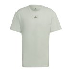 adidas FV T-Shirt Grau