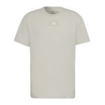 adidas FV T-Shirt Grau