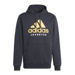 adidas Juventus Turin DNA Hoody Schwarz