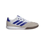 adidas COPA Gloro IN Halle Marinerush Blau Türkis