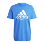 adidas Italien DNA Graphic T-Shirt Blau
