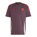 adidas FC Bayern München T-Shirt Rot