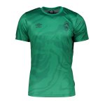 Umbro SV Werder Bremen Challenger II T-Shirt Grün FAFG